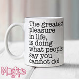 The Greatest Pleasure in Life Mug